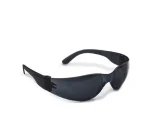 Lentes Segpro SP200 antiempaño - Imagen 2